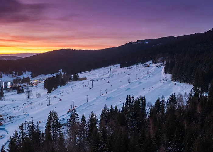 Czarna Gora 308 Apartment 3*